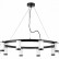 Подвесная люстра Lightstar Rullo LR02036837