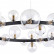 Подвесной светильник Arte Lamp Vincent A7790SP-24BK