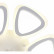 Потолочная люстра Natali Kovaltseva LED LAMPS 81127 LED LAMPS 81127/6C
