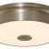 Накладной светильник Citilux Фостер-2 CL706221
