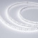 Лента светодиодная Arlight RTW-5000PU-2835-120 12V White6000 (10.5mm, 16.8W, IP68) 029596