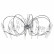 Подвесная люстра Lightstar Scarabeo 755084