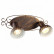Спот Arte Lamp Focus A5219AP-2BR