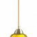 Подвесной светильник Lumion Sapphire 4486/1