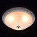 Накладной светильник MW-Light Ариадна 450013703