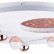 Потолочная люстра Favourite Plaides 4630-5C