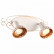 Спот Arte Lamp Focus A5219AP-2WG