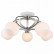 Потолочная люстра Arte Lamp Ellisse A6342PL-5WG