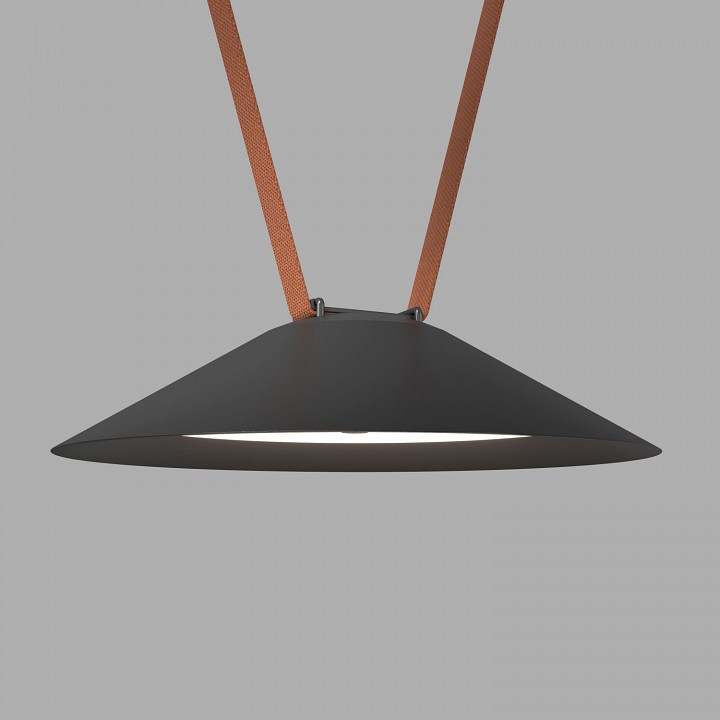 Накладной светильник Denkirs BELTY FLOW DK5564-BK