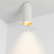 Накладной светильник Arlight SP-POLO-SURFACE-R65-8W Day4000 (WH-GD, 40 deg) 027505