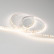 Лента светодиодная Arlight RT 2-5000 24V Warm3000 1.6x (2835, 490 LED, CRI98) 021453(1)