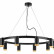 Подвесная люстра Lightstar Rullo LR02037040