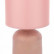 Настольная лампа декоративная Lumion Niana 8221/1T