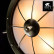 Накладной светильник Arte Lamp Wheell A5500PL-2AB