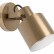 Спот Eglo Southery 43817
