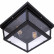 Накладной светильник Loft it Modern Filament LOFT3110-2C