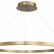 Подвесной светильник ST-Luce PARILLA SL6238.343.01
