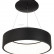 Подвесной светильник Arlight SP-TOR-RING-HANG-R460-33W Day4000 (BK, 120 deg) 023392(1)