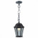 Подвесной светильник Arte Lamp Genova A1205SO-1BS