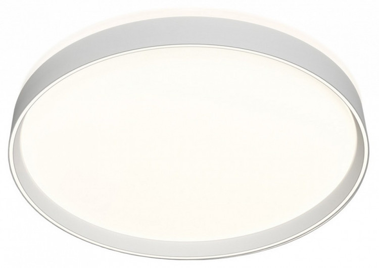 Накладной светильник Denkirs Plato DK6510-WH/1