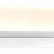 Накладной светильник Vele Luce Forza VL8283W21