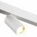 Светильник на штанге Denkirs Smart DK8010-WH