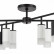 Люстра на штанге Lightstar Rullo LR7283743641