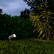 Наземный низкий светильник Elektrostandard Landscape a064423