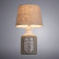 Настольная лампа декоративная Arte Lamp Isola A4272LT-1GY