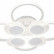 Потолочная люстра Escada Castor 10232/8LED
