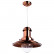 Подвесной светильник Arte Lamp Fisherman A5530SP-1RB