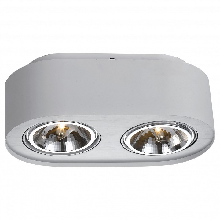 Накладной светильник Arte Lamp Cliff A5643PL-2WH