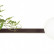 Бра Odeon Light Flower 4681/2W