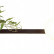 Бра Odeon Light Flower 4681/2W