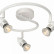 Спот Lucide Caro-Led 13955/14/31