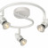 Спот Lucide Caro-Led 13955/14/31
