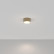 Накладной светильник Maytoni Zon C032CL-12W4K-RD-MG