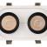 Встраиваемый светильник на штанге Arlight LGD-PULL-S100x200-2x10W White6000 (WH, 20 deg) 026193