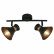 Спот Arte Lamp Baltimore A1406AP-2BK