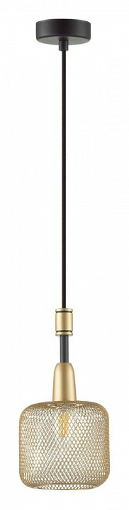 Светильник на штанге Odeon Light Lekola 4975/1