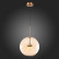 Подвесной светильник ST-Luce Bopone SL1133.323.01