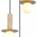 Подвесной светильник ST-Luce Earthy SL1194.303.03