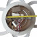 Потолочная люстра Natali Kovaltseva INNOVATION STYLE INNOVATION STYLE 83024