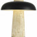 Настольная лампа декоративная ST-Luce Earthy SL1194.424.01