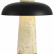 Настольная лампа декоративная ST-Luce Earthy SL1194.424.01