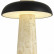 Настольная лампа декоративная ST-Luce Earthy SL1194.424.01