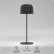 Настольная лампа декоративная Elektrostandard Bitty a069002