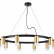 Подвесная люстра Lightstar Rullo LR0204001