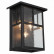 Накладной светильник ST-Luce Glazgo SL079.401.03