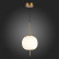 Подвесной светильник ST-Luce Lacus SL1621.203.01